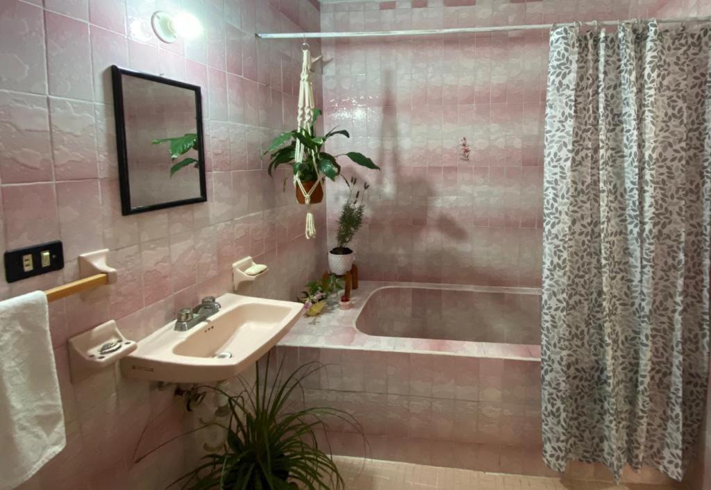 CASA SANTIAGO sí hay internet Apartamento San Miguel de Allende Exterior foto