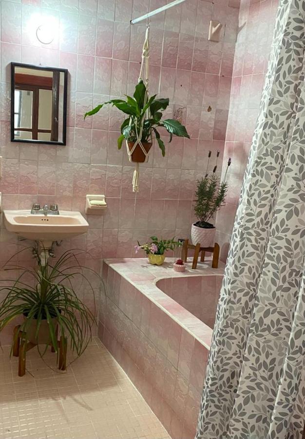 CASA SANTIAGO sí hay internet Apartamento San Miguel de Allende Exterior foto