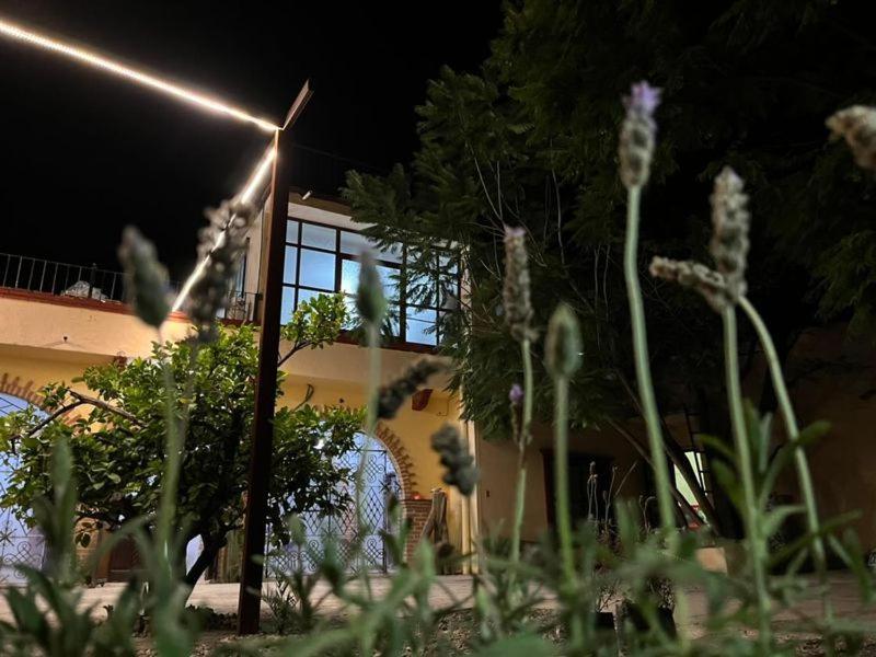 CASA SANTIAGO sí hay internet Apartamento San Miguel de Allende Exterior foto